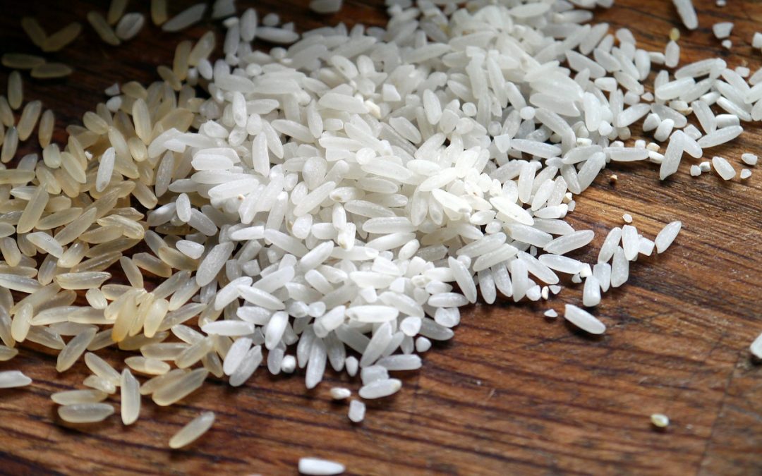 Toujours du riz