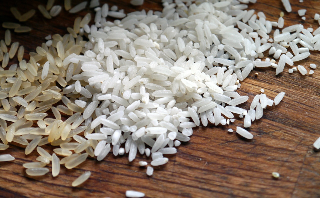 Du riz toujours du riz